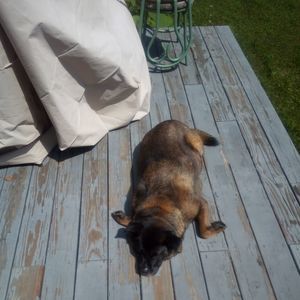 Meet your Posher, Jack